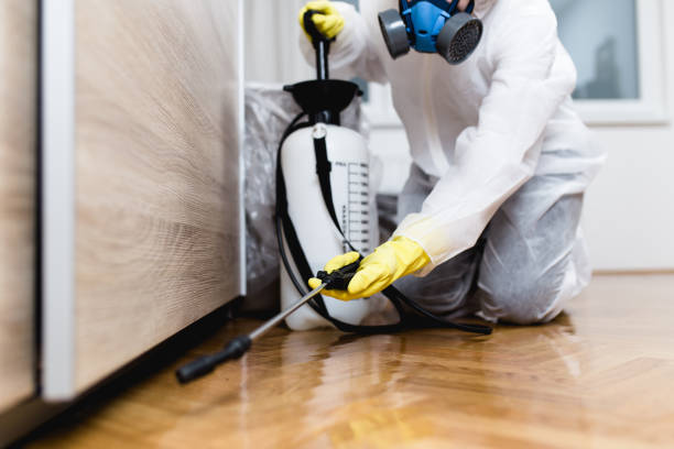 Best Pest Control Near Me  in Willow Creek, CA