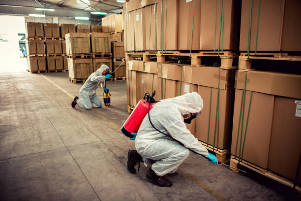 Best Local Pest Control Services  in Willow Creek, CA