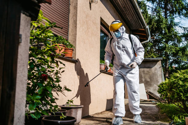 Best Residential Pest Control  in Willow Creek, CA