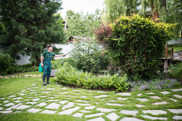 Best Best Pest Control Companies  in Willow Creek, CA