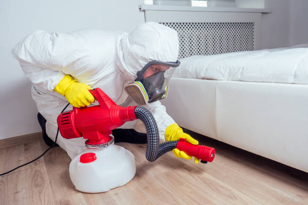 Best Bed Bug Extermination  in Willow Creek, CA