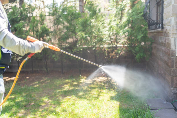 Best Wildlife Control Services  in Willow Creek, CA
