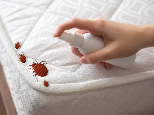 Best Commercial Pest Control Services  in Willow Creek, CA