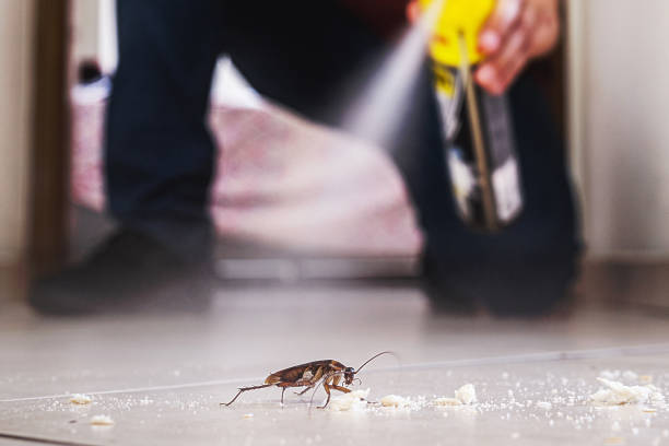 Best Best Pest Control Companies  in Willow Creek, CA