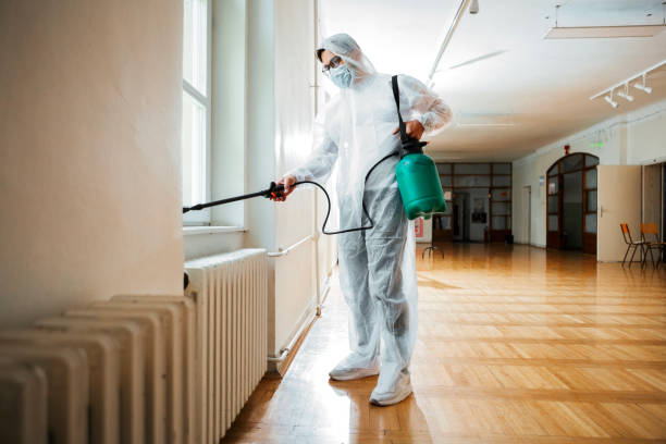 Best Rat Extermination Near Me  in Willow Creek, CA