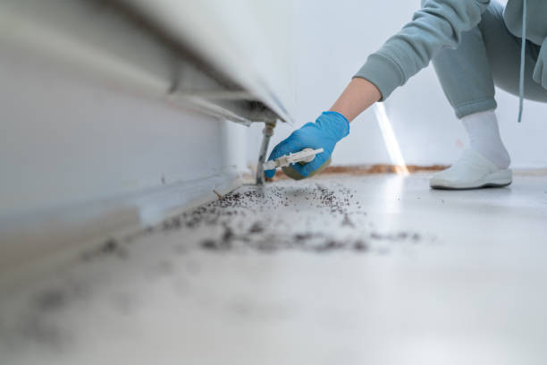 Best Pest Control Near Me  in Willow Creek, CA